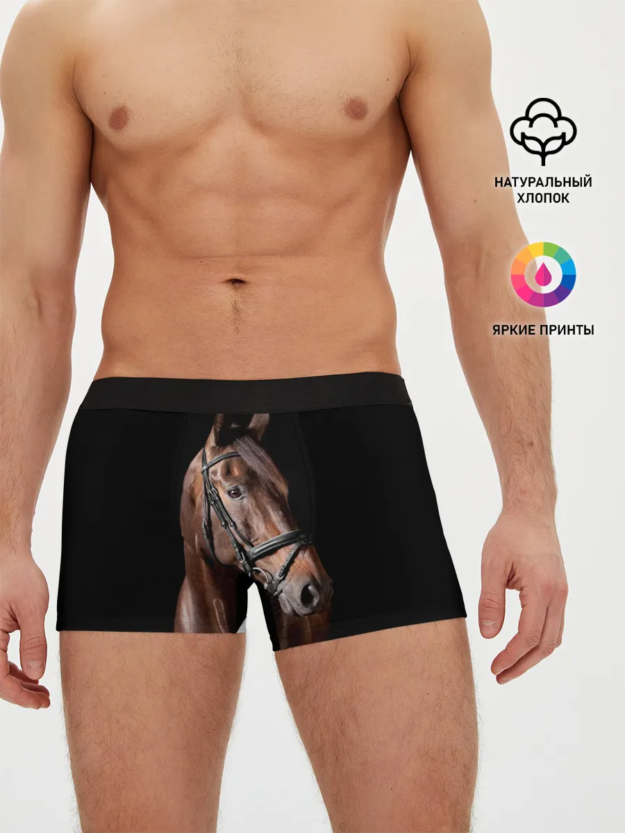 Мужские трусы боксеры / Гнедая лошадь