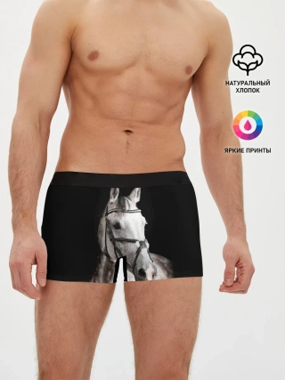 Мужские трусы боксеры / Серный в яблоках конь