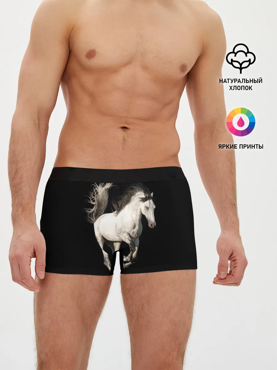 Мужские трусы боксеры / Серный в яблоках конь