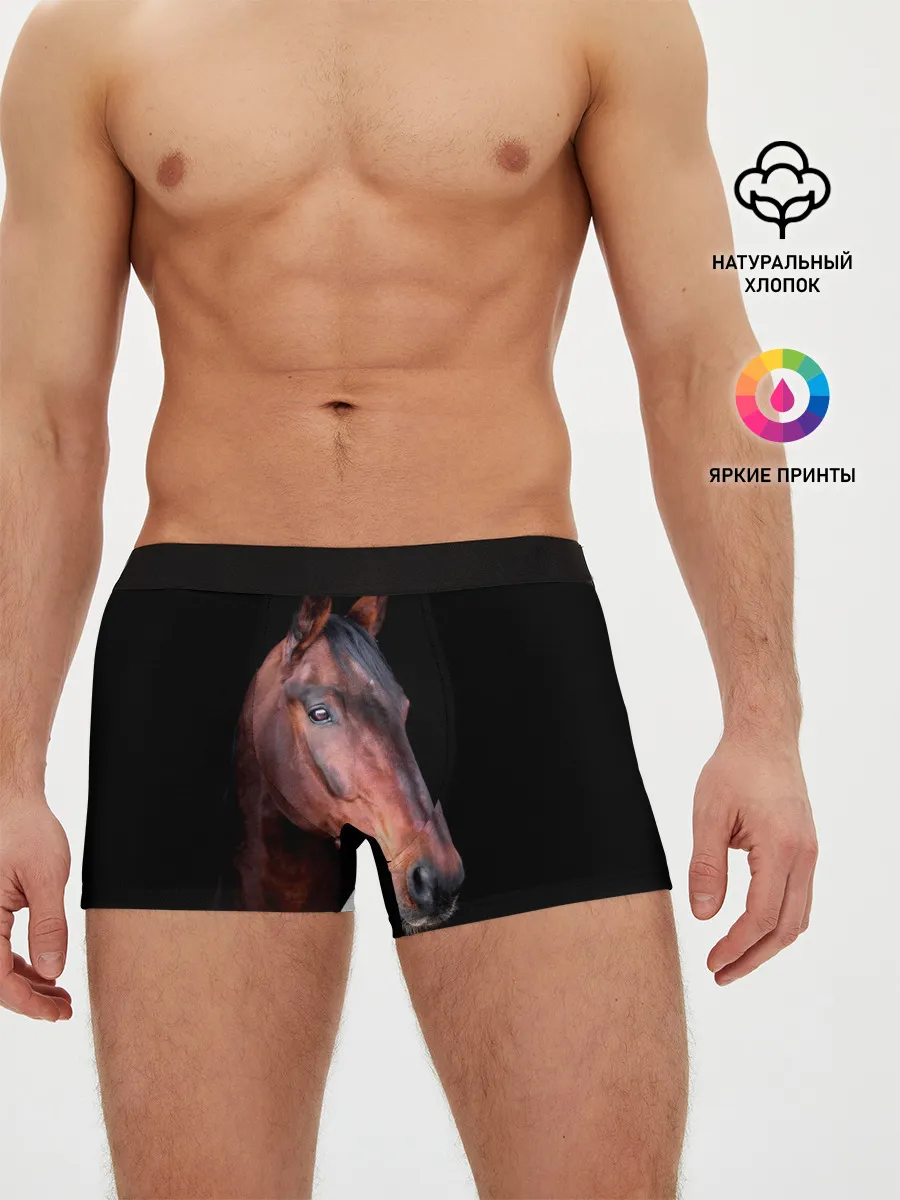 Мужские трусы боксеры / Гнедая лошадь