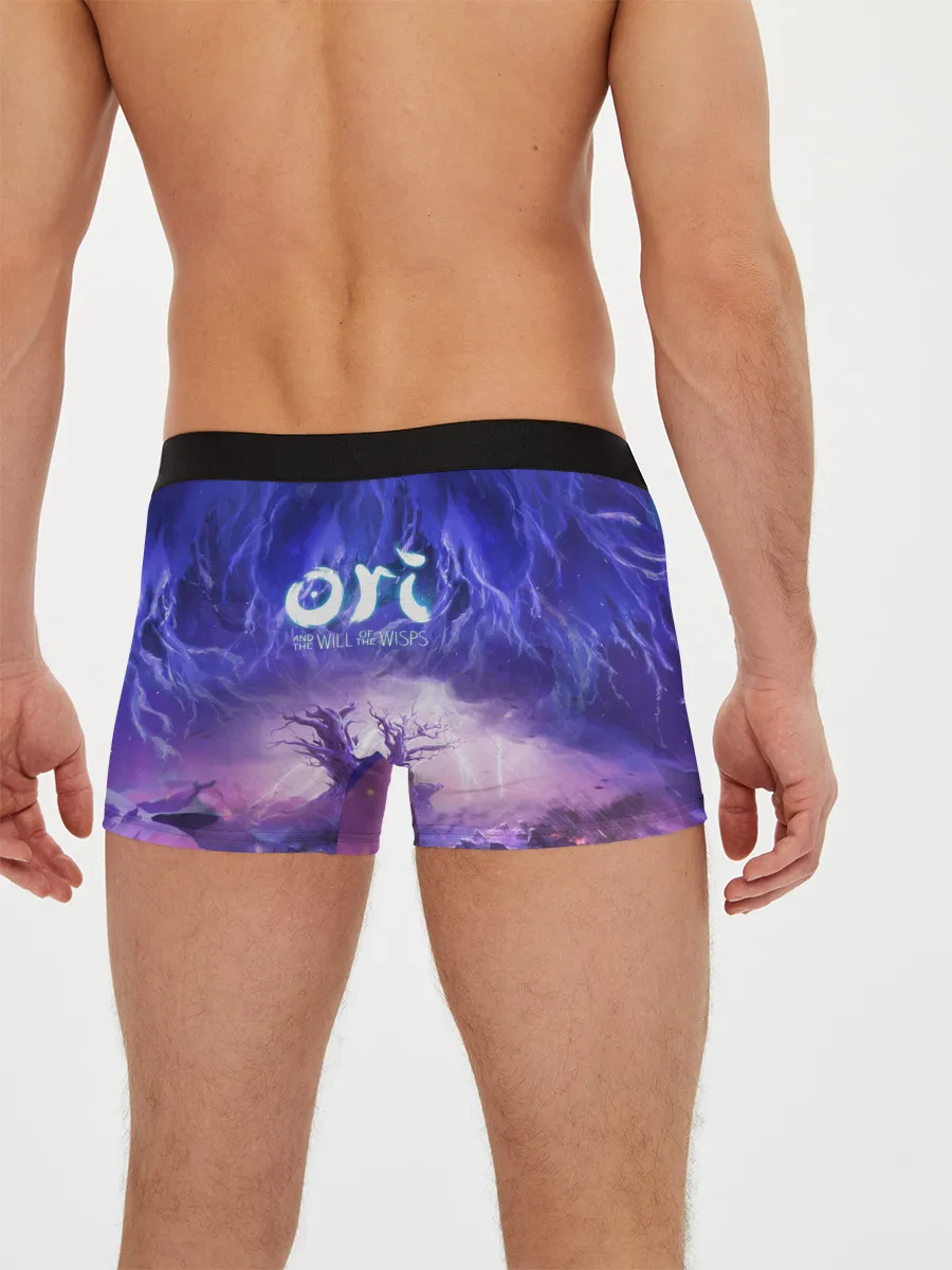 Мужские трусы боксеры / Ori - And The Will Of The Wisp