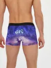 Мужские трусы боксеры / Ori - And The Will Of The Wisp