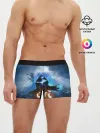Мужские трусы боксеры / Ori - And The Will Of The Wisp