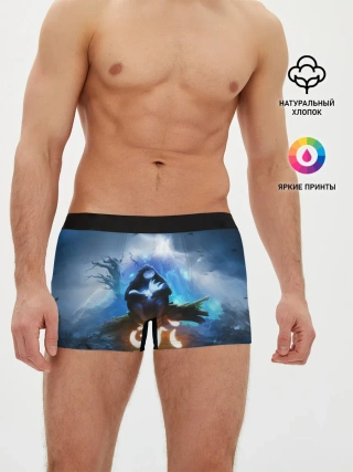 Мужские трусы боксеры / Ori - And The Will Of The Wisp
