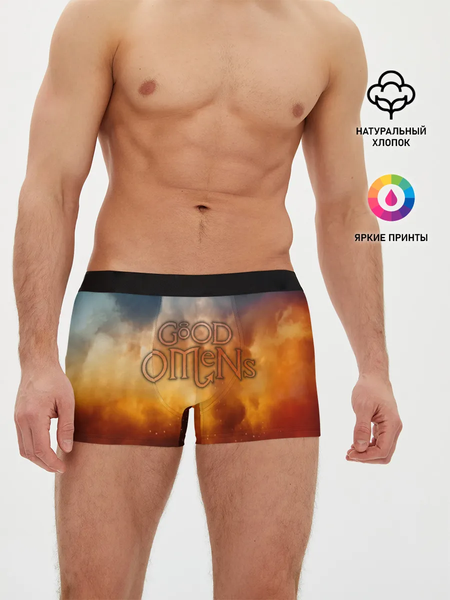 Мужские трусы боксеры / Good Omens