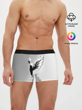 Мужские трусы боксеры / Good Omens