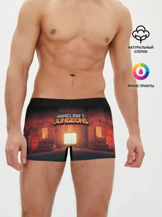 Мужские трусы боксеры / MINECRAFT: Dungeons