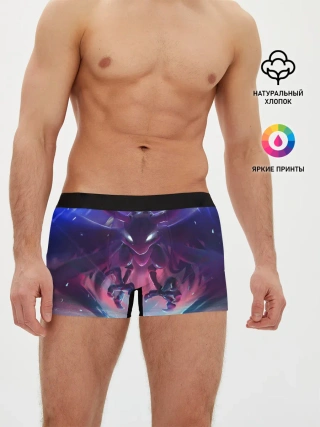 Мужские трусы боксеры / Ori and the Blind Forest