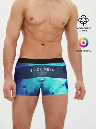 Мужские трусы боксеры / HALF-LIFE - Black Mesa: XEN