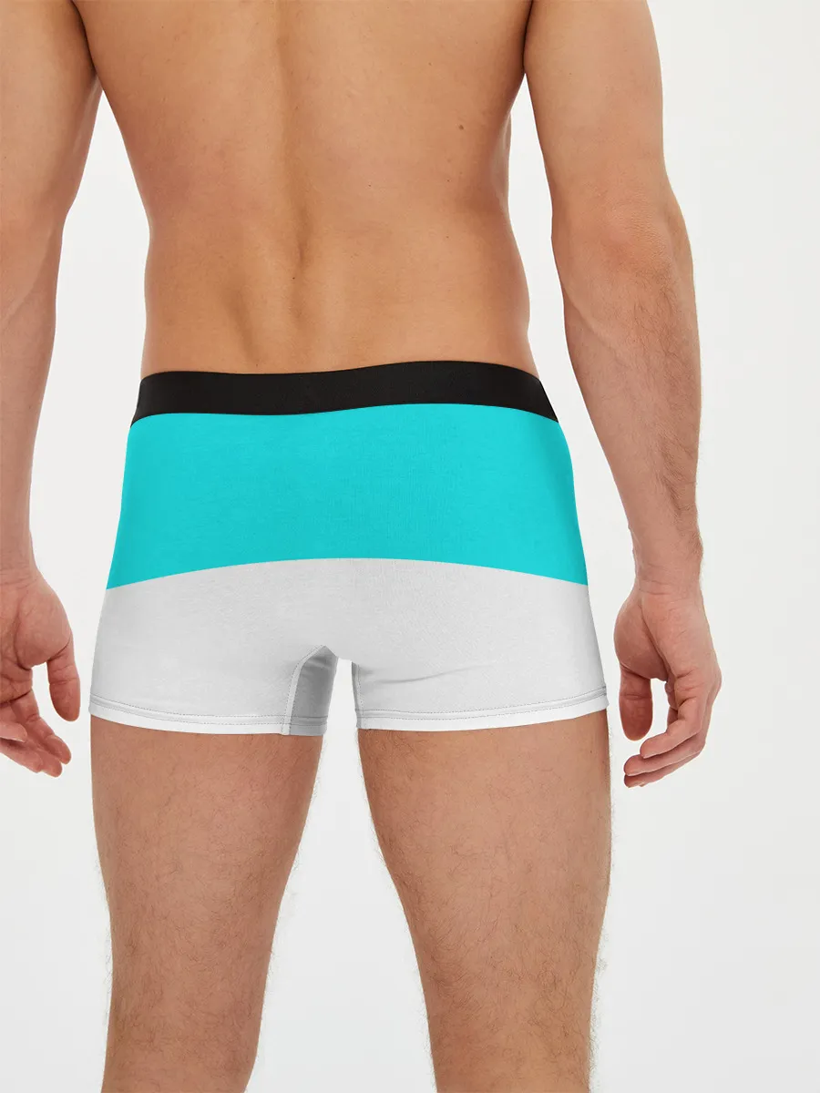 Мужские трусы боксеры / CountryHumans - Россия