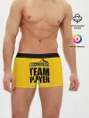 Мужские трусы боксеры / Brazzers Team player