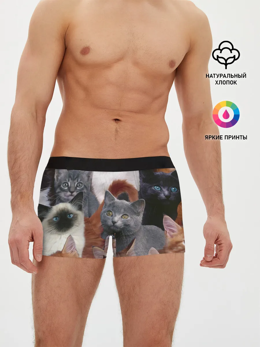 Мужские трусы боксеры / Много котов