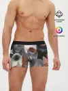 Мужские трусы боксеры / Много котов