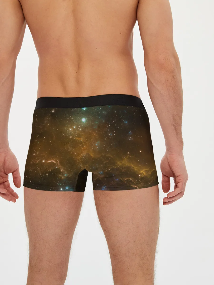 Мужские трусы боксеры / Night Fury