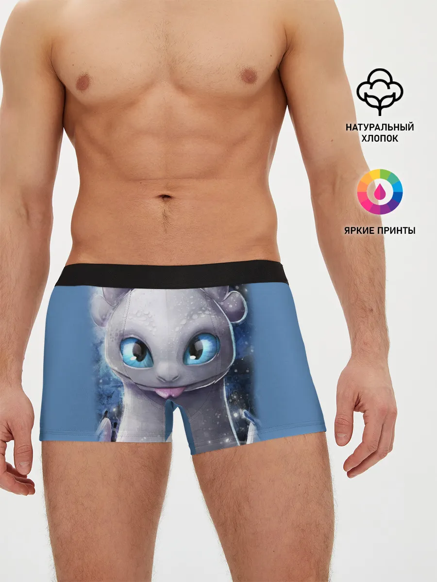 Мужские трусы боксеры / дневная фурия