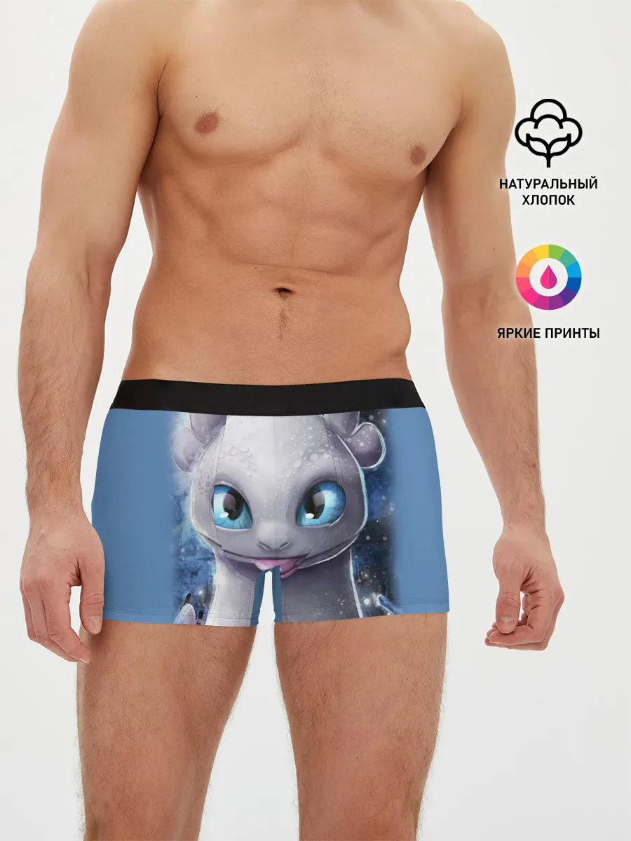 Мужские трусы боксеры / дневная фурия