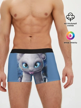 Мужские трусы боксеры / дневная фурия