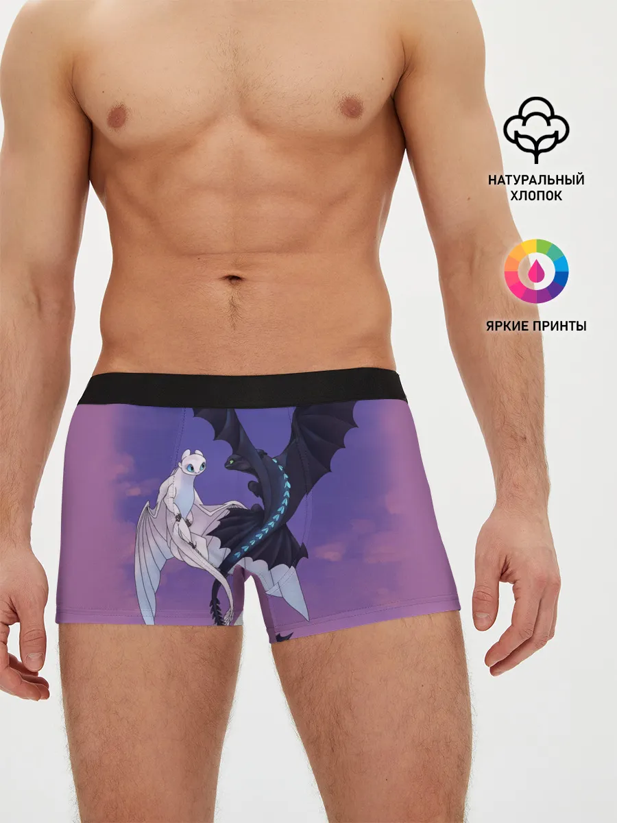 Мужские трусы боксеры / ночная фурия