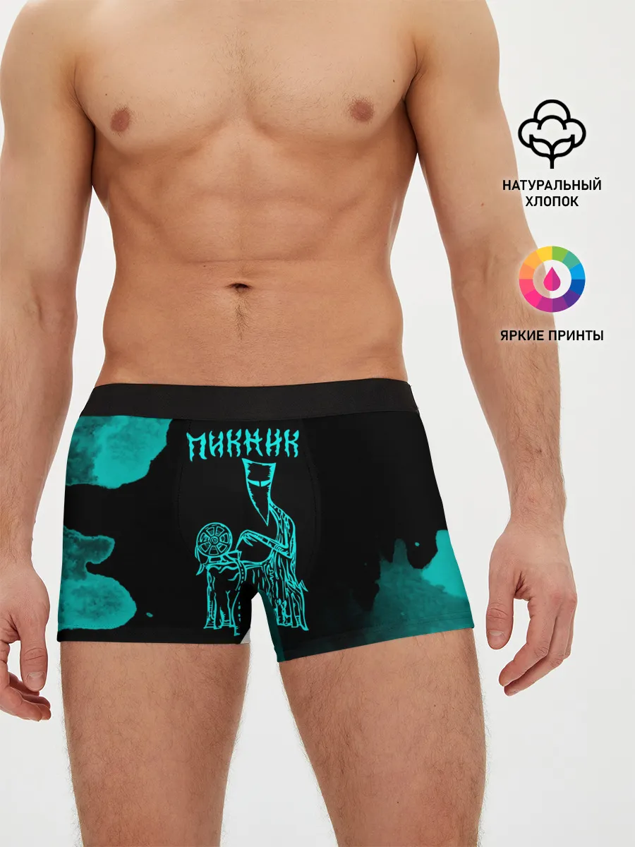 Мужские трусы боксеры / Пикник
