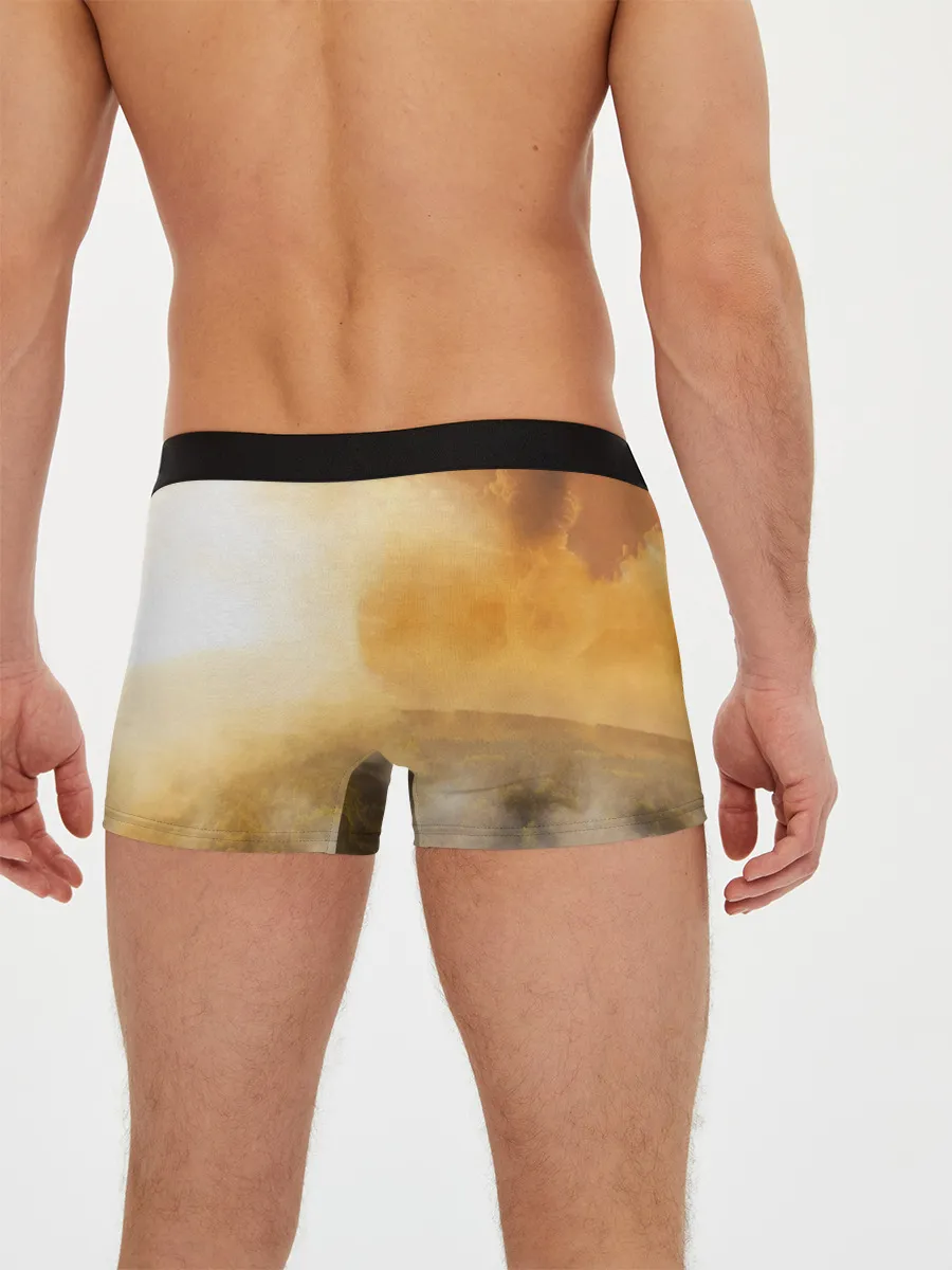 Мужские трусы боксеры / Лисичка в тумане