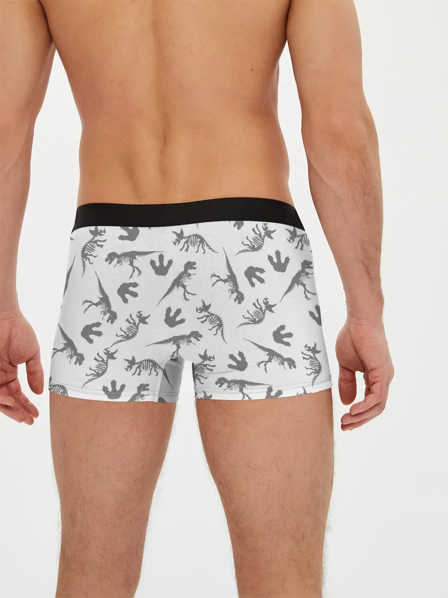 Мужские трусы боксеры / Парк Юрского Периода