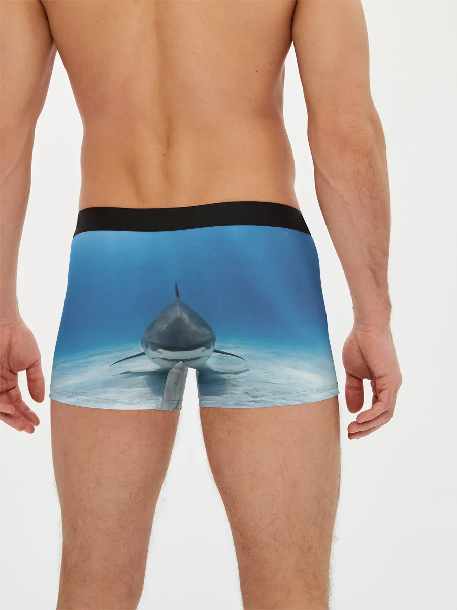 Мужские трусы боксеры / Анфас