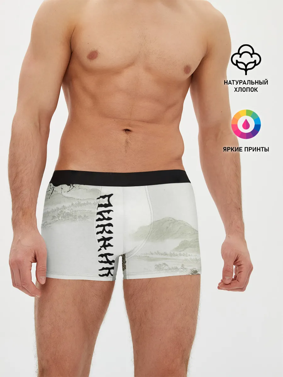 Мужские трусы боксеры / Пикник