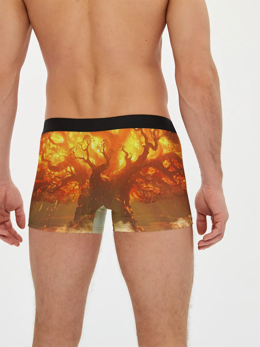 Мужские трусы боксеры / Горящая Сибирь