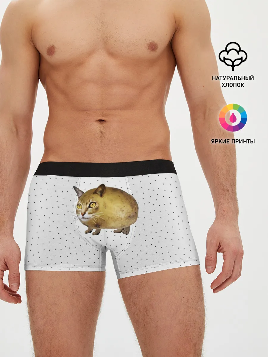 Мужские трусы боксеры / ЧИЛИПИ*ДРИК