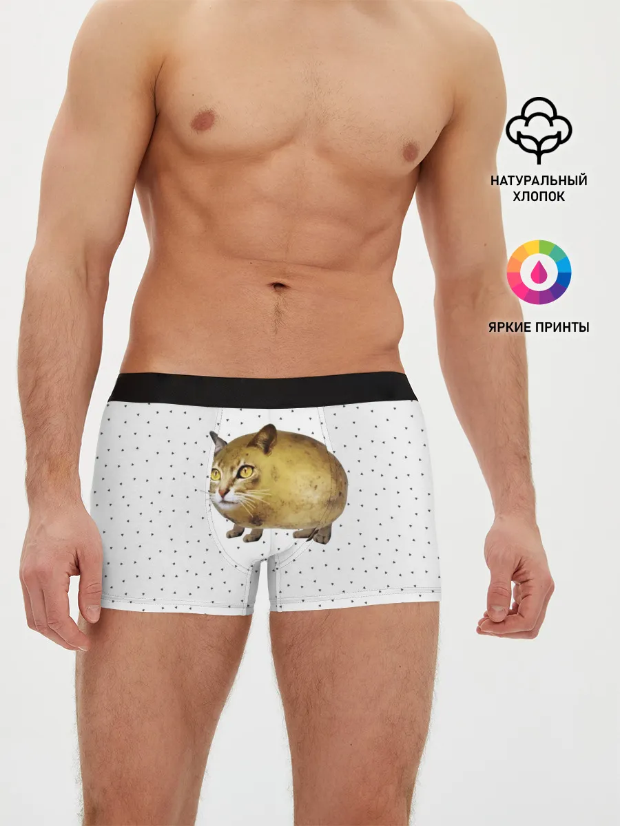 Мужские трусы боксеры / ЧИЛИПИ*ДРИК