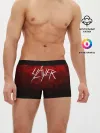 Мужские трусы боксеры / SLAYER