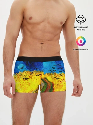 Мужские трусы боксеры / ВАНГОГ НОЧНОЕ ПОЛЕ