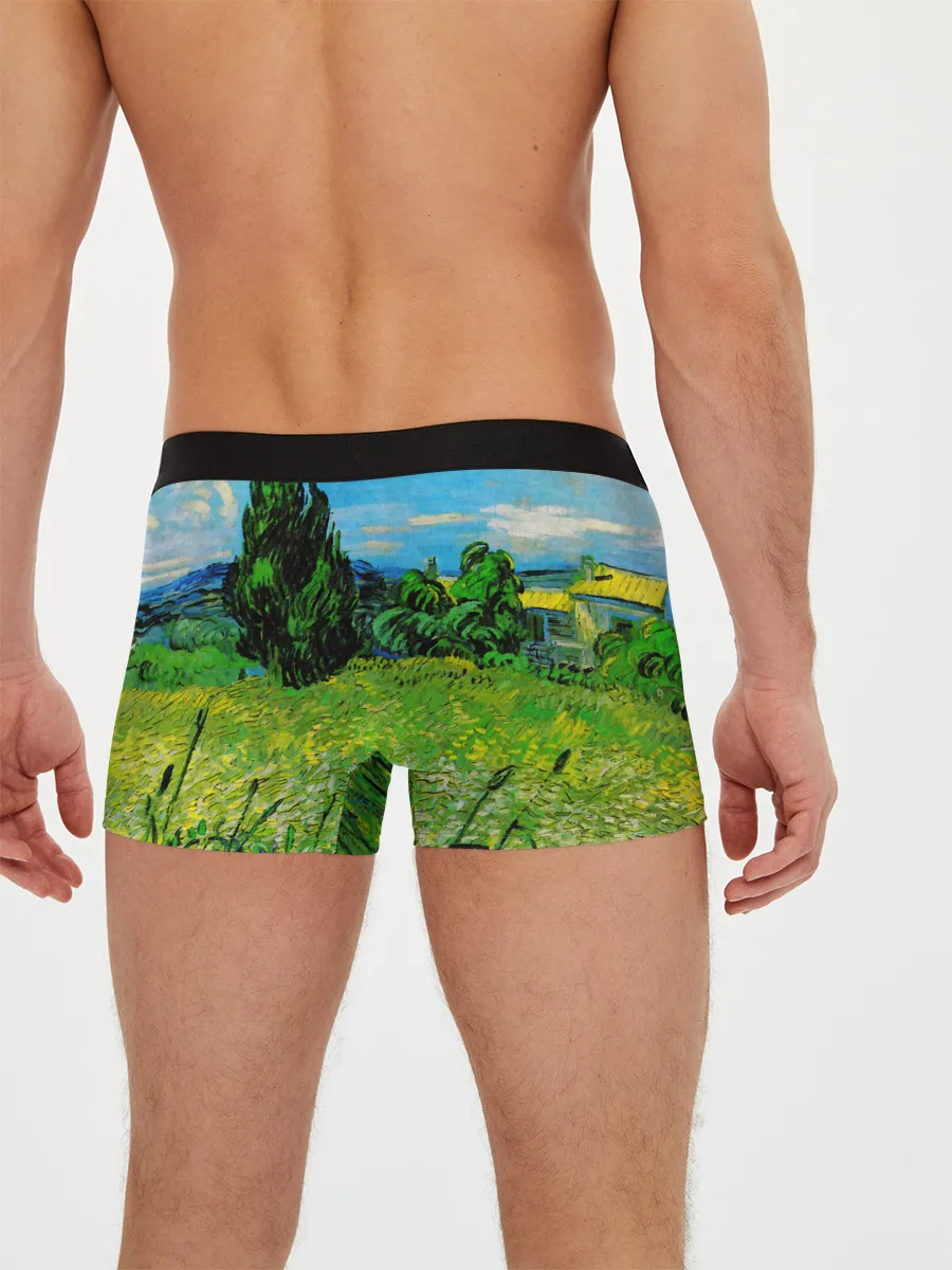 Мужские трусы боксеры / ВАНГОГ