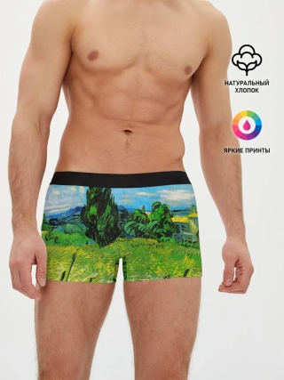 Мужские трусы боксеры / ВАНГОГ