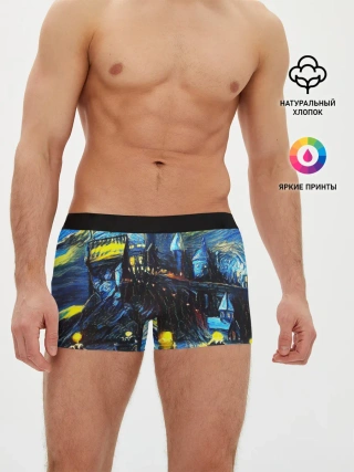Мужские трусы боксеры / Картина в стиле Вангога