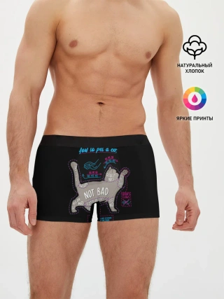 Мужские трусы боксеры / Как погладить кошку
