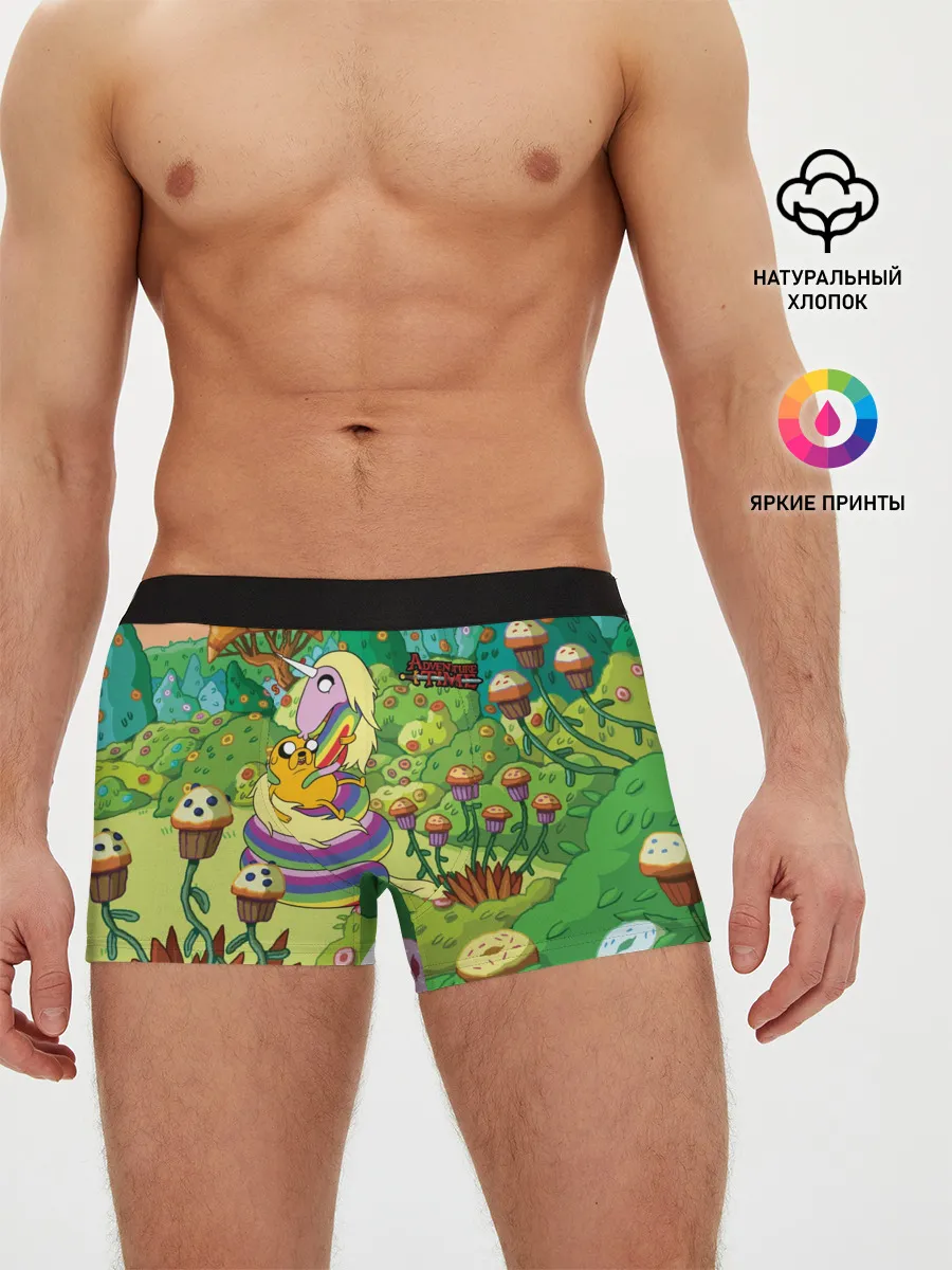 Мужские трусы боксеры / Ливнерог и Джейк