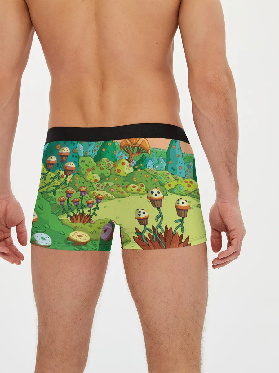 Мужские трусы боксеры / Ливнерог и Джейк