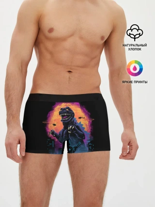 Мужские трусы боксеры / Разборки в Токио