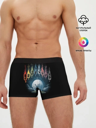 Мужские трусы боксеры / Покемон Эволюция Иви