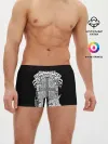 Мужские трусы боксеры / Gamesmaster
