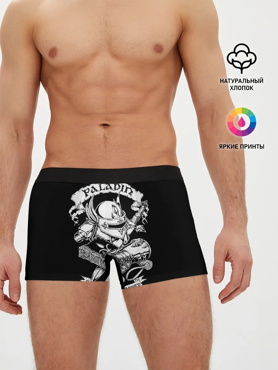 Мужские трусы боксеры / Paladin