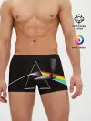 Мужские трусы боксеры / PINK FLOYD