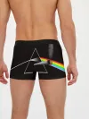 Мужские трусы боксеры / PINK FLOYD