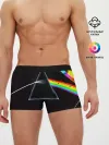 Мужские трусы боксеры / PINK FLOYD