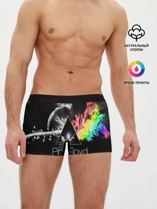 Мужские трусы боксеры / PINK FLOYD