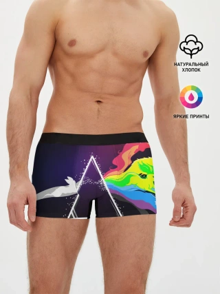 Мужские трусы боксеры / PINK FLOYD