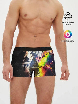 Мужские трусы боксеры / PINK FLOYD