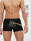 Мужские трусы боксеры / PINK FLOYD