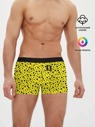 Мужские трусы боксеры / Billie Eilish